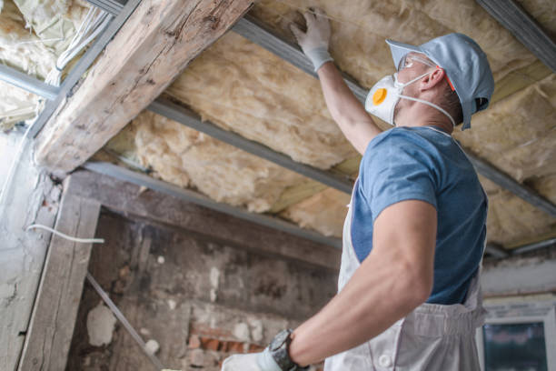 Best Geographic-Specific Insulation Services in North Cape May, NJ